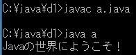 初心者